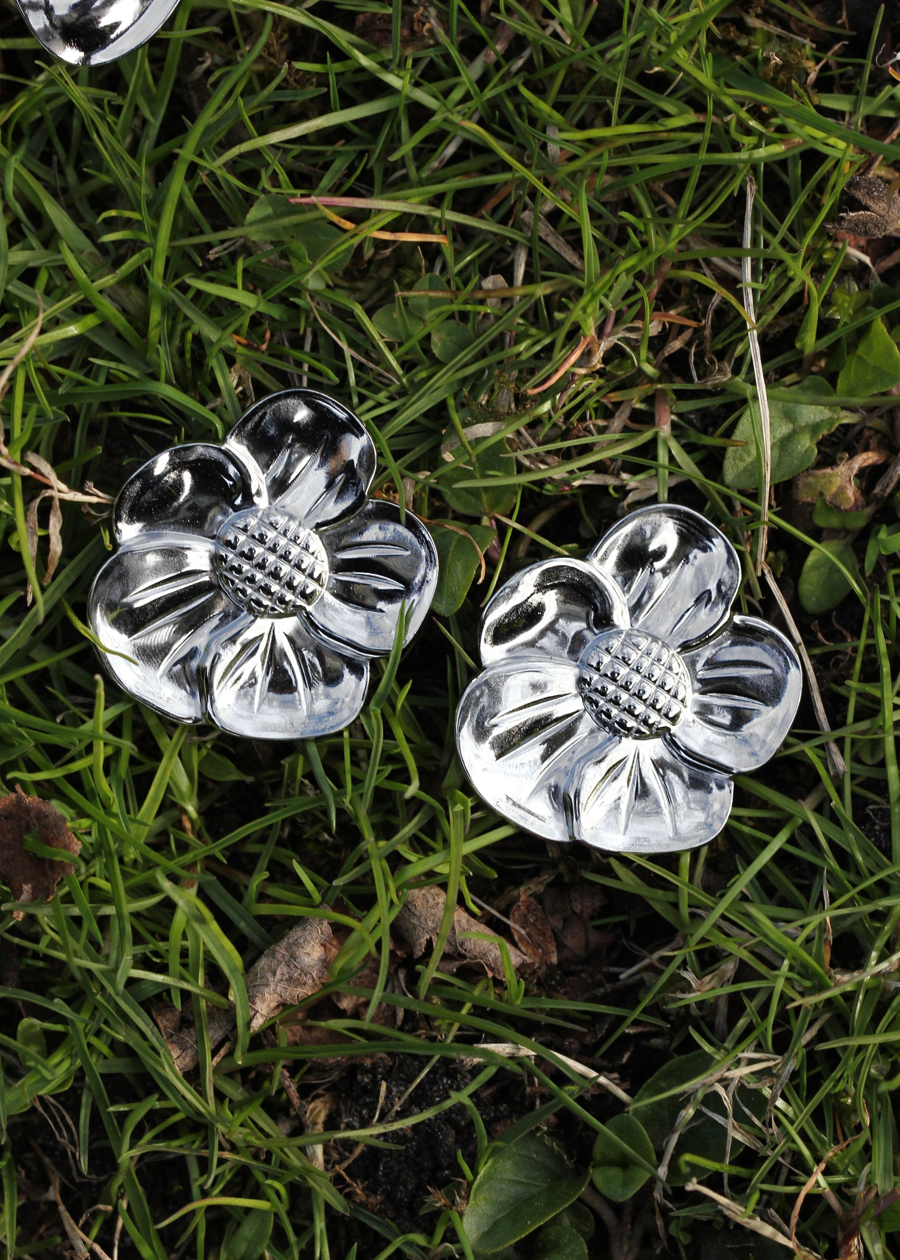 Wild Daisy Earrings: Hypoallergenic Stainless Steel